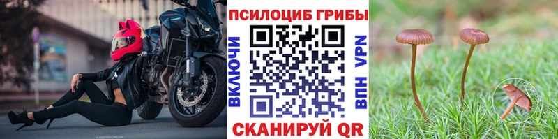 Купить закладки  Островной  Галлюциногенные грибы мицелий 